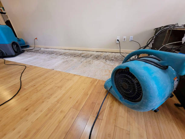 Professional Water Damage Repair technician working in South Lake Tahoe, CA